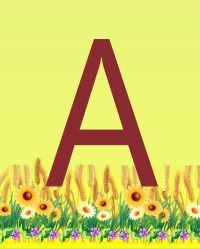 01. Ukrainian letters "А Б В Г Ґ Д"